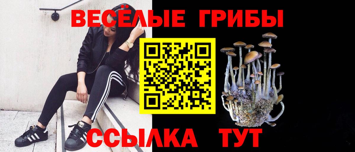 Галлюциногенные грибы GOLDEN TEACHER Полысаево